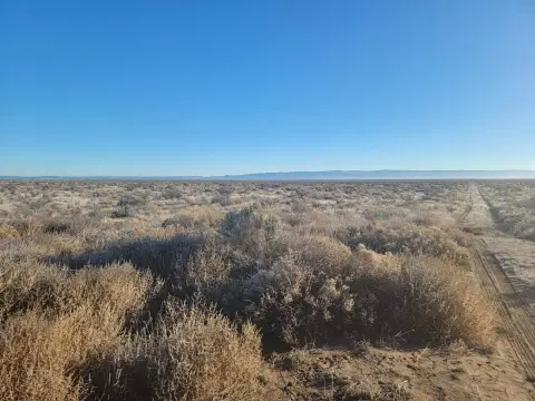 Scenic 80-Acre High Desert Land