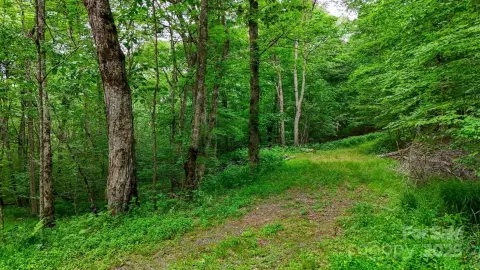 Wooded Lot in Woodland Springs