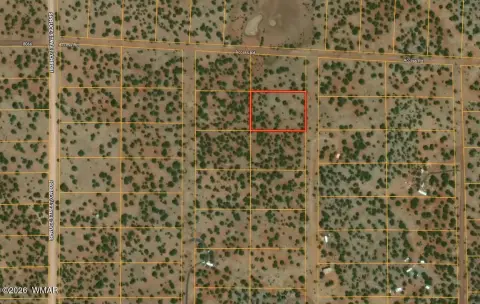 Treed Residential Land Lot