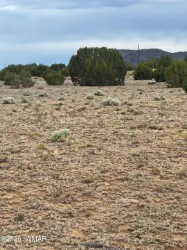 Acreage for Home or Farm