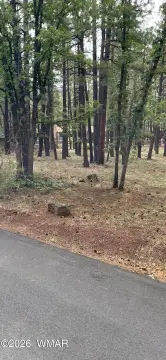 Fenced Residential Land Lot