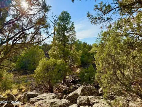 Creekside Residential Land Lot