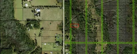 Polk City Acreage for Sale