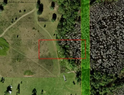 Polk City Acreage for Sale