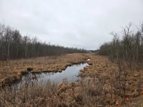 Hunting Land with Waterfront