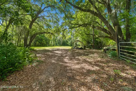 Wooded Homesite in Fruit Cove