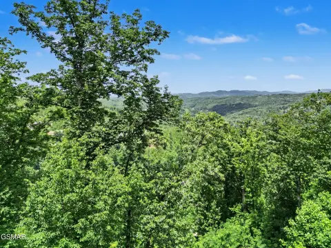 Residential Development Lot