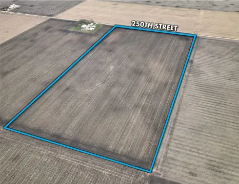 Productive Farmland Auction Near Webster