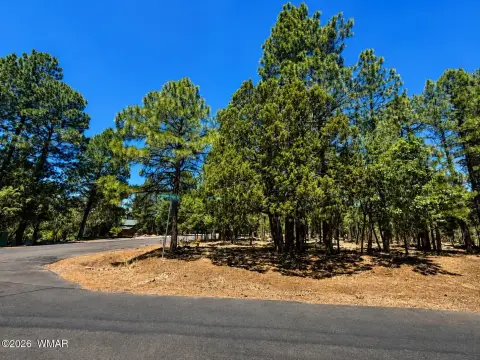 Waterfront Corner Home Site