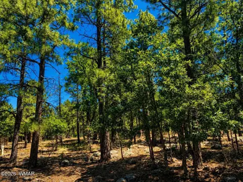 Lakeside Residential Land with Build Package