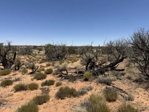 Recreation Land with Canyon Views