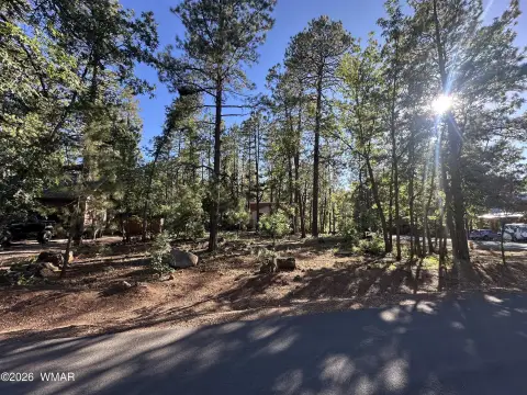 Residential Home Lot in Pinetop