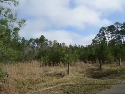 Waterfront Development Lots with Dock