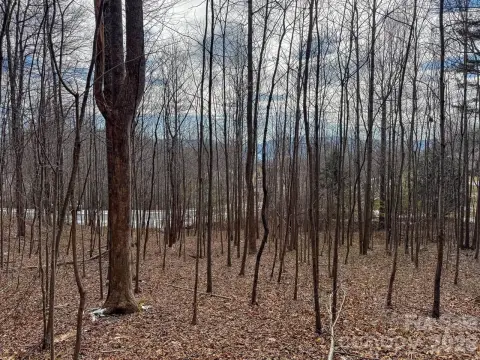 Residential Lot in Gated Community