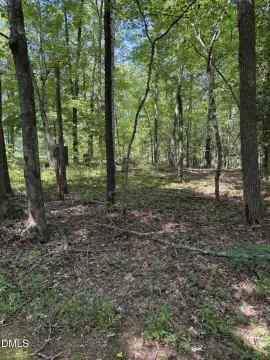 Wooded Waterfront Recreation Lot
