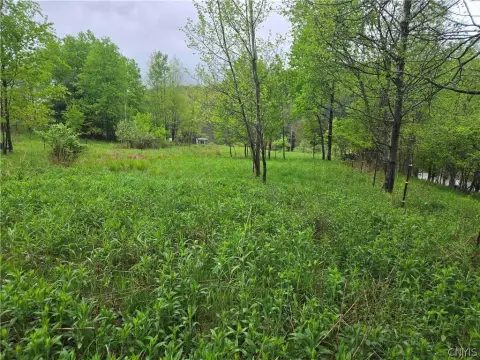 4.5 Acre Building Lot