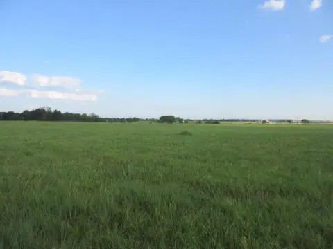 Developable Farmland Parcel with Road Frontage