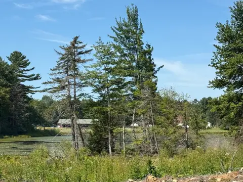 Recreation Land Parcel with Pond