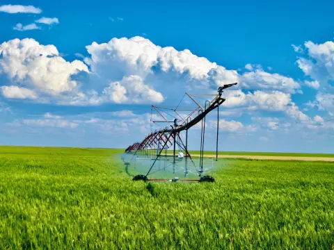 Productive Farm and Ranch Near Valier