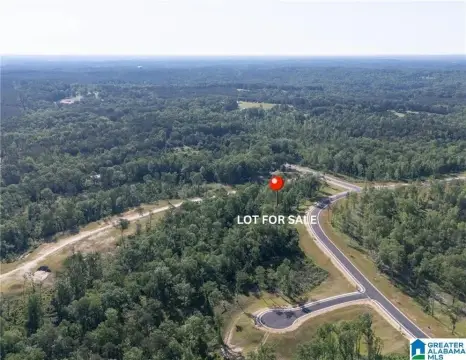 Tuscaloosa Waterfront Lot for Sale
