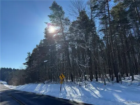 Secluded Land in Rural Setting