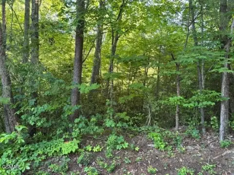 Sloping Residential Lot