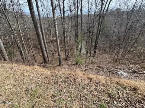 Adjoining Sloping Residential Lots
