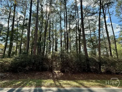 Rincon, GA Commercial Land