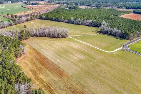 Mostly Cleared Farmland