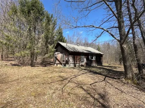 Cabin on Wooded Acreage