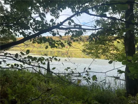 Cincinnatus Land with Pond Access