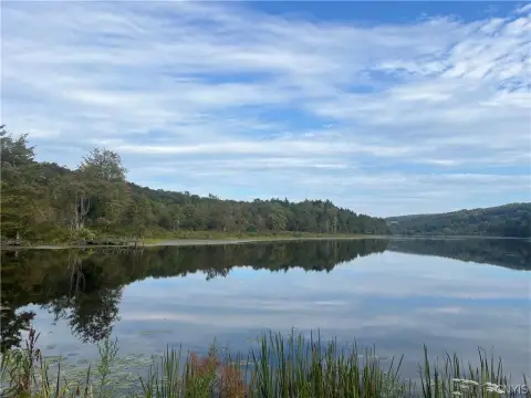 Cincinnatus Land with Pond Access