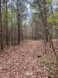 Benton Land with Hardwoods