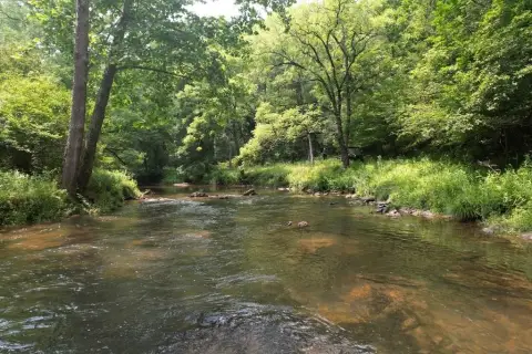 Recreational Waterfront Hunting Tract