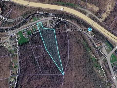 Williamson, WV Vacant Land