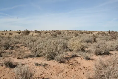 Land Parcel