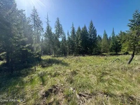 Forested Acreage Near Priest River