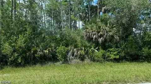 Residential Lot in Lehigh Acres