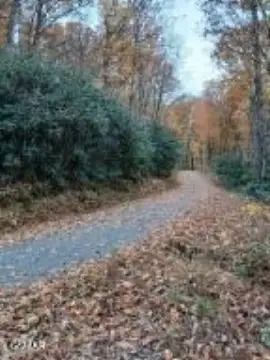 Cosby, TN Land For Sale