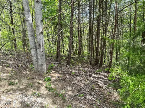 Scenic Lot in Sevierville, TN