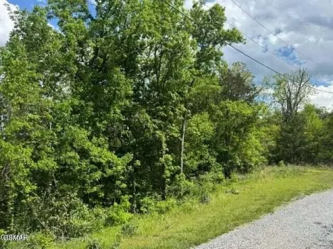 Land in Newport, Tennessee