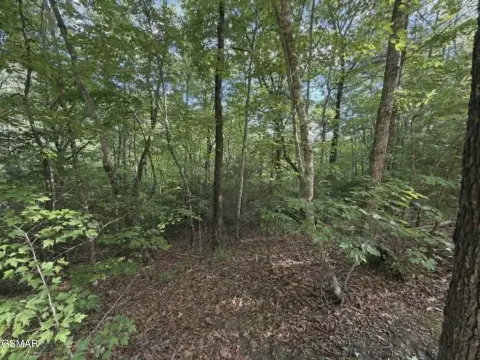 Sevierville Land: Private Eight Acres