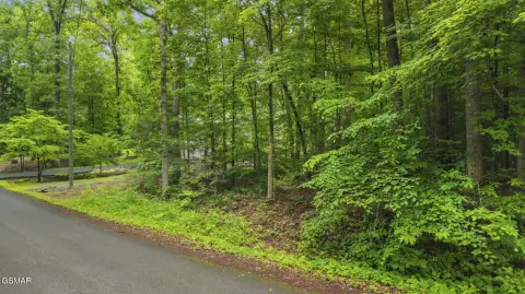 Sevierville, TN Wooded Lot