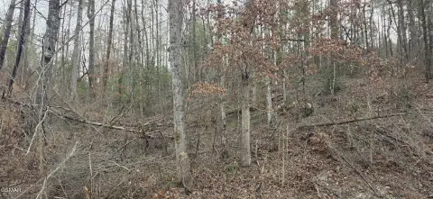 Residential Development Lot with Views