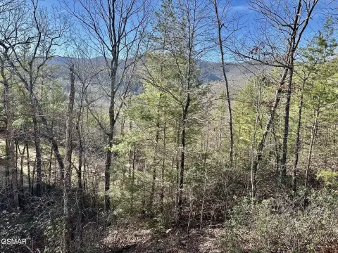 Mountain Homesite Land with Views