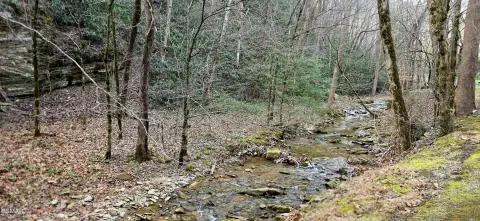 Wooded Residential Development Lot