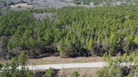 Secluded Acreage in Weldon, TX