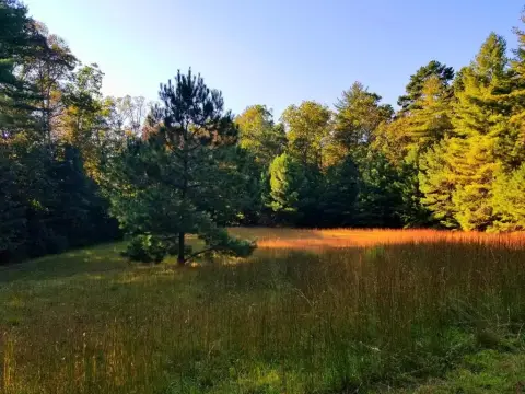 Blairsville Vacant Lot Near Lake