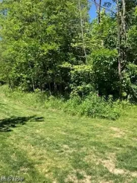 Strongsville Buildable Private Acre Lot
