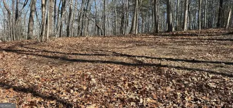 North Georgia Mountain Property